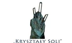 Nagroda Marszałka Województwa Małopolskiego Kryształy Soli