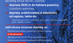 Nowe stawki dopłat do zbóż oraz rzepaku i rzepiku