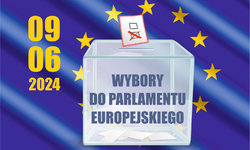 Wybory do Parlamentu Europejskiego